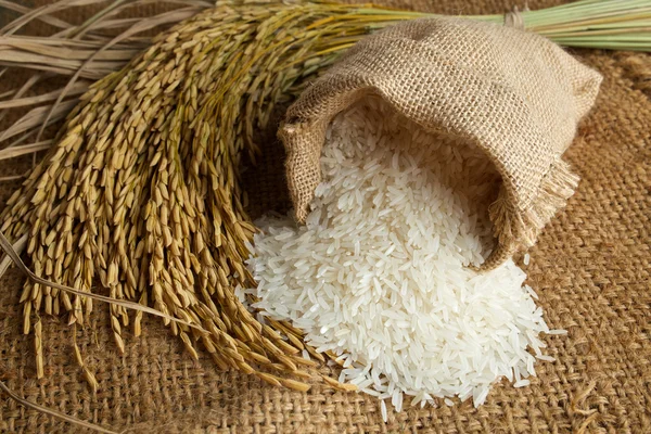 Ρύζι σε σακί λινάτσα — Φωτογραφία Αρχείου
