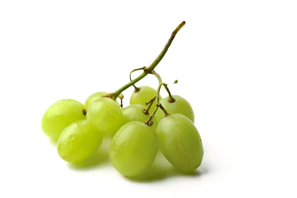 White Grape — Stock Photo, Image