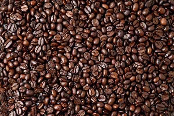 Coffee beans — Stock Photo, Image