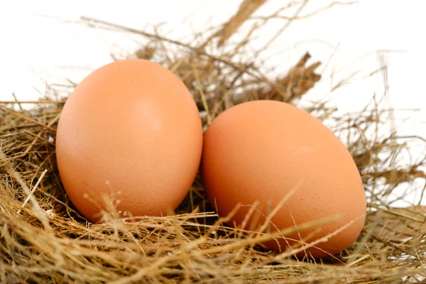 Ovos de galinha no ninho — Fotografia de Stock