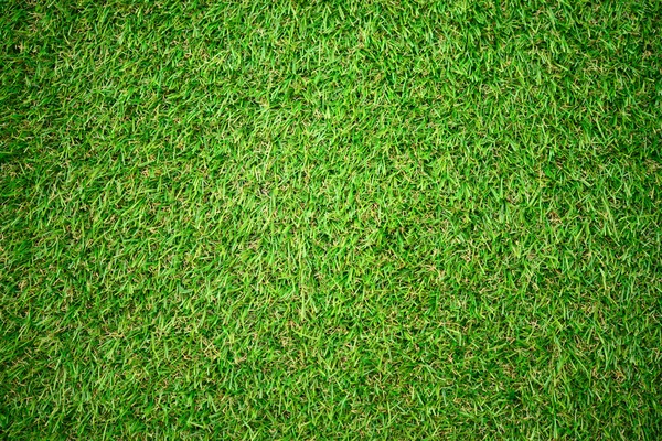 Artificial grass — Stock Photo, Image