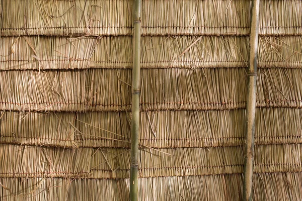 茅草屋顶 — 图库照片