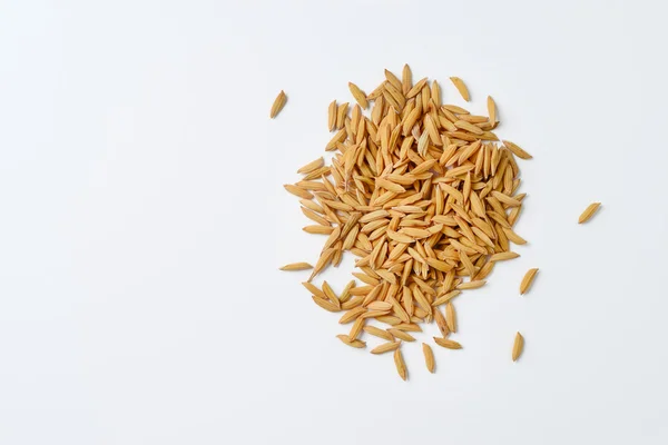 Paddy grains — Stock Photo, Image