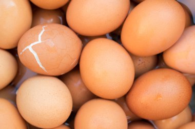 haşlanmış yumurta