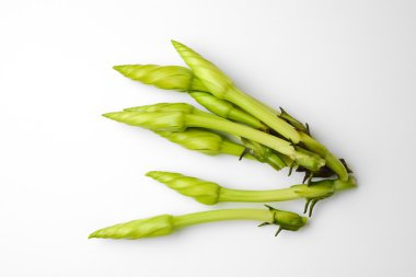 Ipomoea alba çiçek