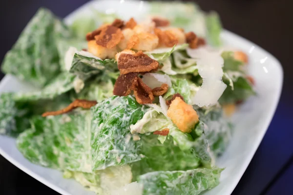 Caesarsalade — Stockfoto