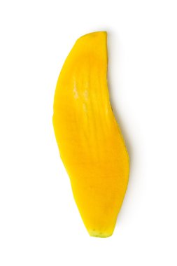tropikal mango tohumu