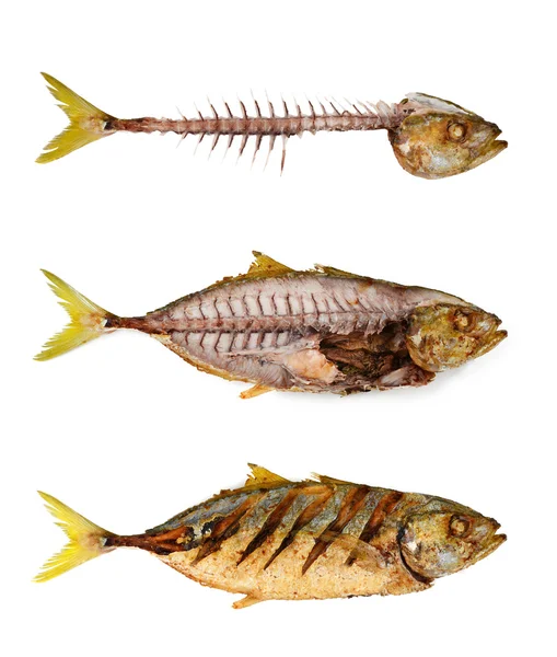 Hueso de pescado con pescado frito — Foto de Stock