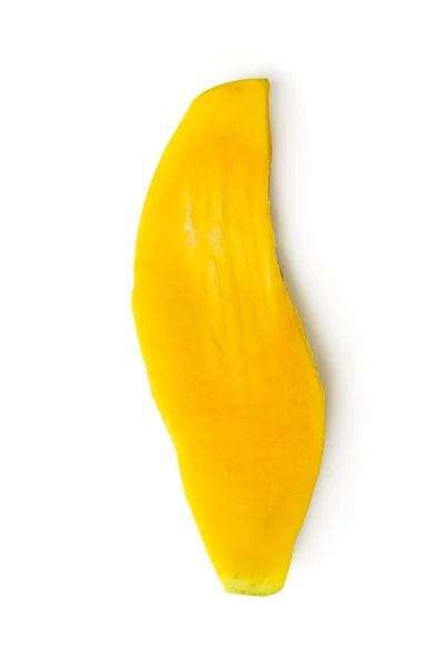 Semilla de mango tropical — Foto de Stock