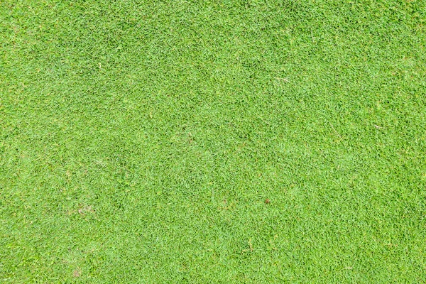 Campo de hierba — Foto de Stock