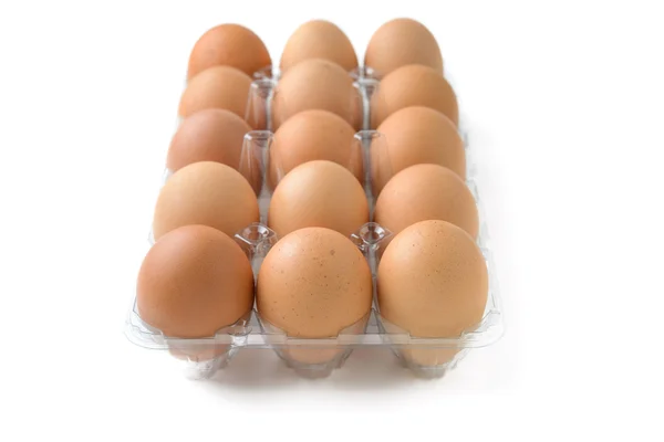 Huevos en caja de plástico — Foto de Stock