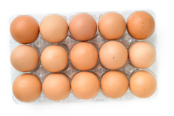 Huevos en caja de plástico — Foto de Stock