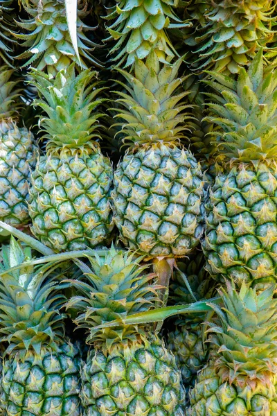 Las piñas en el mercado — Foto de Stock