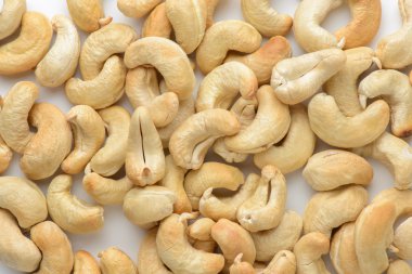 kaju fıstığı portre.