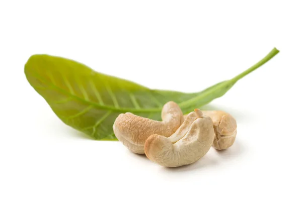 Cashewnötter med blad — Stockfoto