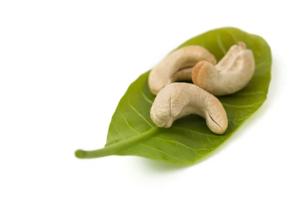 Cashewnötter med blad — Stockfoto