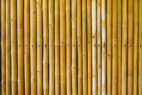 Cerca de bambu — Fotografia de Stock