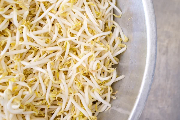 Bean sprouts — Stock Photo, Image