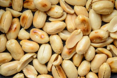 kızartılmış fıstık