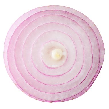 red onion clipart