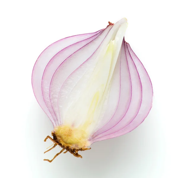 Red onion — Stock Photo, Image