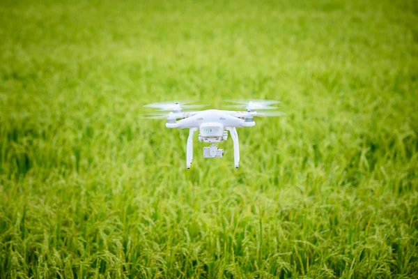 Repülő drone — Stock Fotó