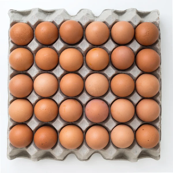 eggs in carton package