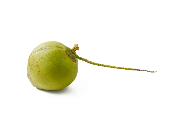 Kokosfrucht auf weißem Hintergrund — Stockfoto