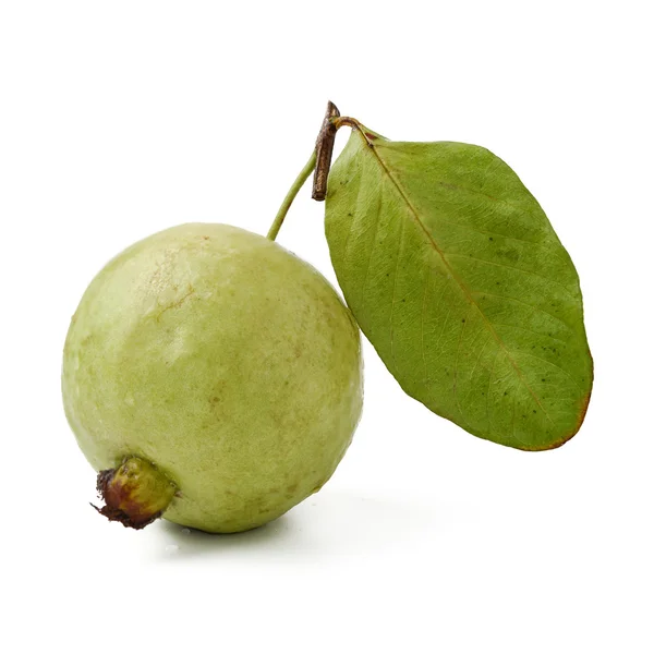 Guava fruit isolated on white — Stock Photo, Image