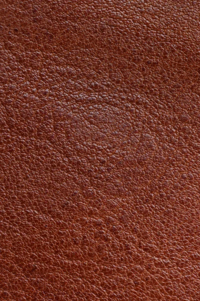 Texture in pelle marrone — Foto Stock