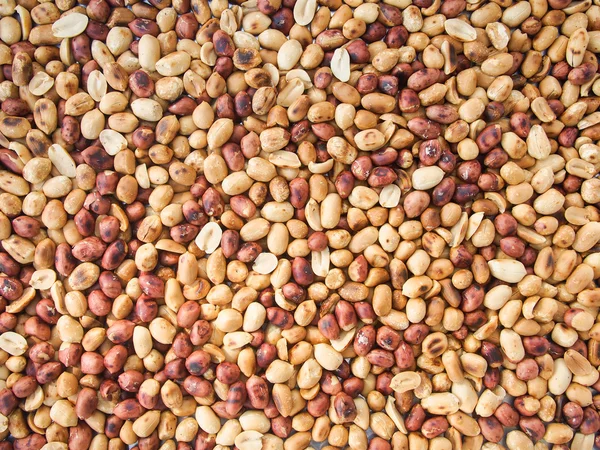 Roasted peanuts with shell — Stock Photo, Image