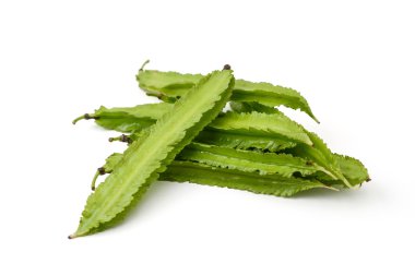 Beyaz arkaplanda kanatlı fasulye