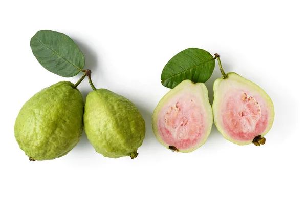 Pink guava on white background — Stock Photo, Image