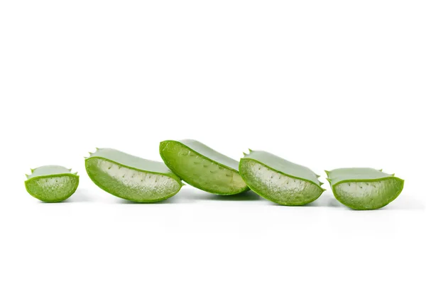 Aloe vera ört — Stockfoto