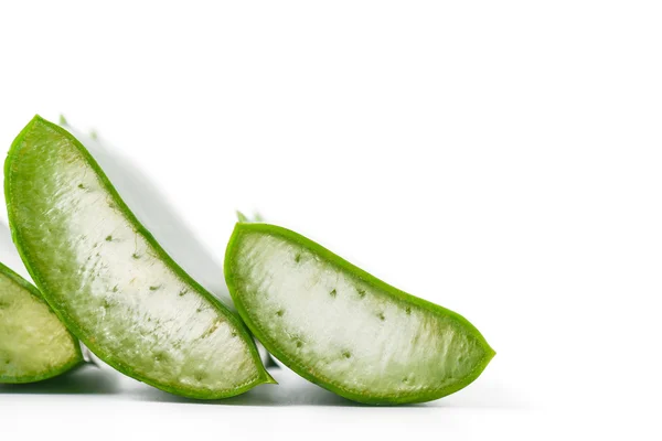 Aloe vera ört — Stockfoto