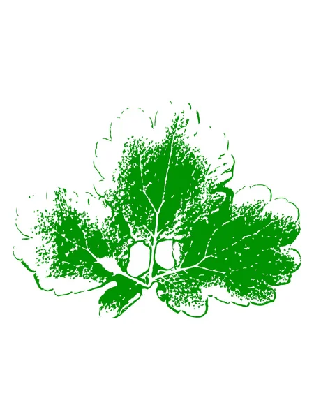 Verse groene leaf - vector textuur — Stockvector