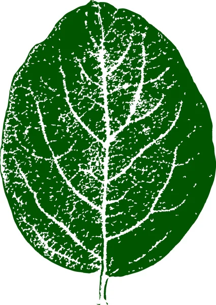Hoja verde fresca - textura vectorial — Vector de stock