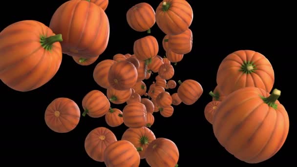 Animazione Flusso Zucca Halloween Con Strato Alfa — Video Stock