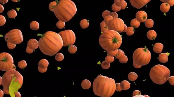 Animación Flujo Calabaza Halloween Con Capa Alfa — Vídeos de Stock