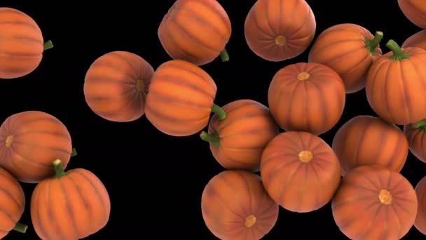 Animación Flujo Calabaza Halloween Con Capa Alfa — Vídeos de Stock