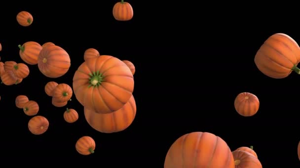 Animazione Flusso Zucca Halloween Con Strato Alfa — Video Stock