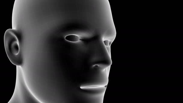 Animatie Van Een Mannen Röntgenhologram Toont Pijn Gebied Neus Met — Stockvideo
