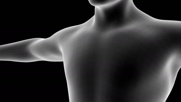 Animáció Egy Férfi Röntgen Hologram Mutatja Fájdalom Terület Szív Területén — Stock videók