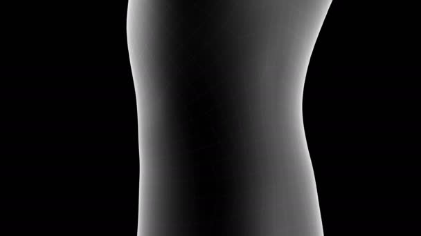 Animation Eines Kinder Röntgen Hologramms Das Die Schmerzzone Der Lendenwirbelsäule — Stockvideo