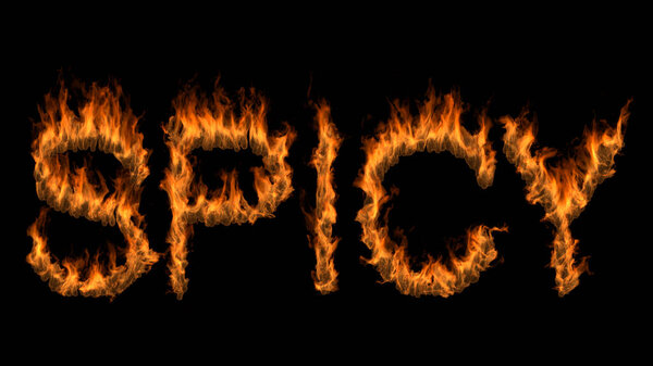 3D illustration of word spicy text on fire with alpha layer
