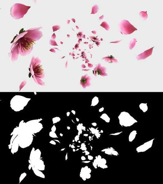 Illustration Pink Cherry Sakura Flower Petals Flow Alpha Layer — Stockfoto