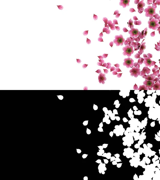 Illustration Pink Cherry Sakura Flower Petals Flow Alpha Layer — Photo