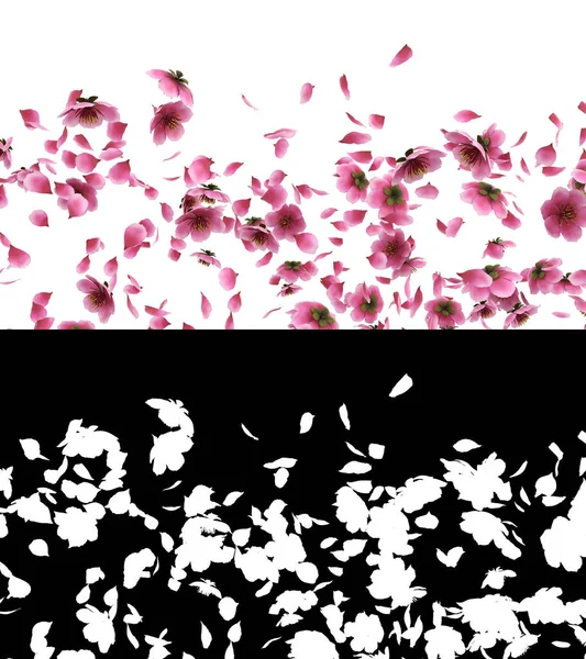 Illustration Einer Rosa Kirsch Sakura Blütenblätter Fließen Mit Alpha Schicht — Stockfoto