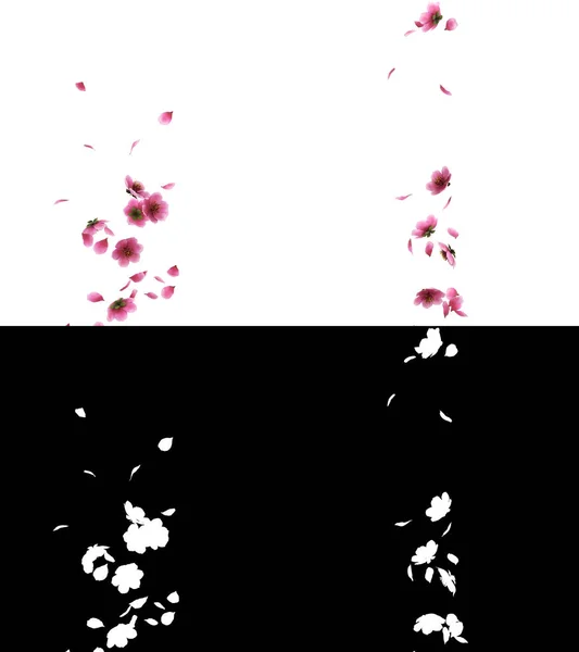 Ілюстрація Рожевих Пелюсток Квітки Сакури Течуть Альфа Шаром — стокове фото