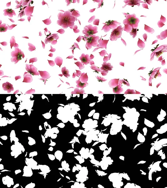 Ilustracja Różowego Wiśni Sakura Płatki Kwiatów Płyną Warstwą Alfa — Zdjęcie stockowe